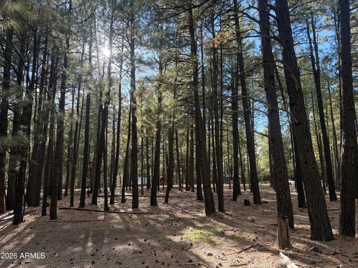 2661 Vacation Drive #549, Forest Lakes, AZ 85931 - #1
