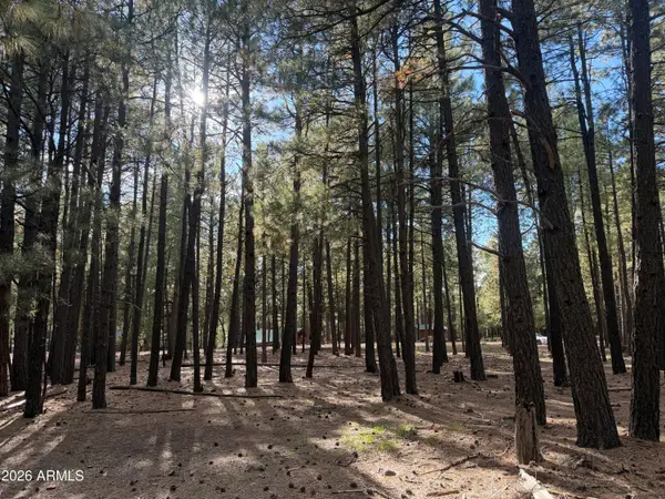 2661 Vacation Drive #549, Forest Lakes, AZ 85931