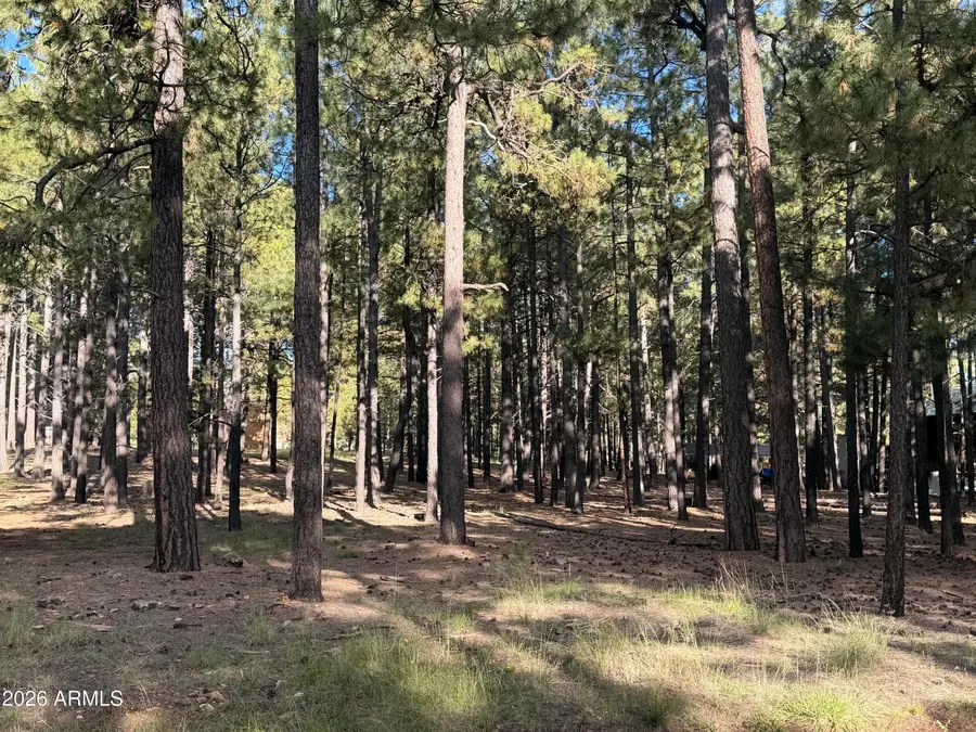 2661 Vacation Drive #549, Forest Lakes, AZ 85931 - #3
