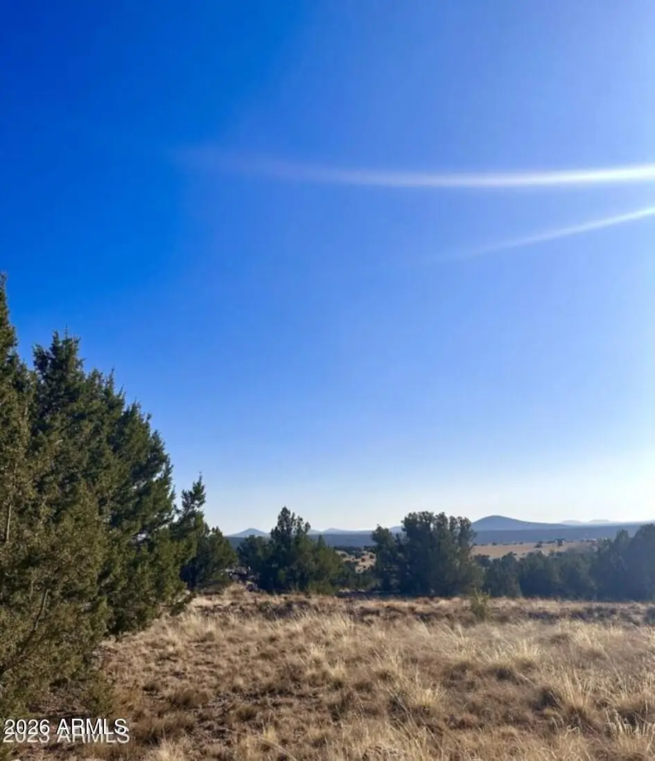 14 Acr 8249 -- #38, Show Low, AZ 85901 - #1