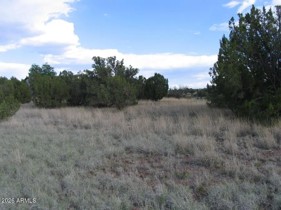 1955 Cliffside Place #122, Show Low, AZ 85901 - #3