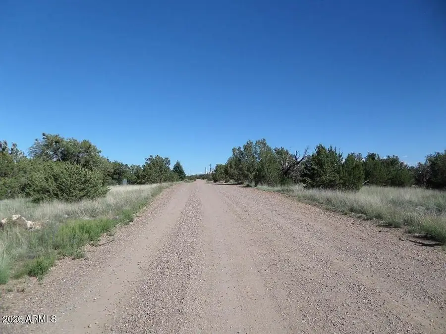 8492 Cannon Boulevard #182, Show Low, AZ 85901 - #2