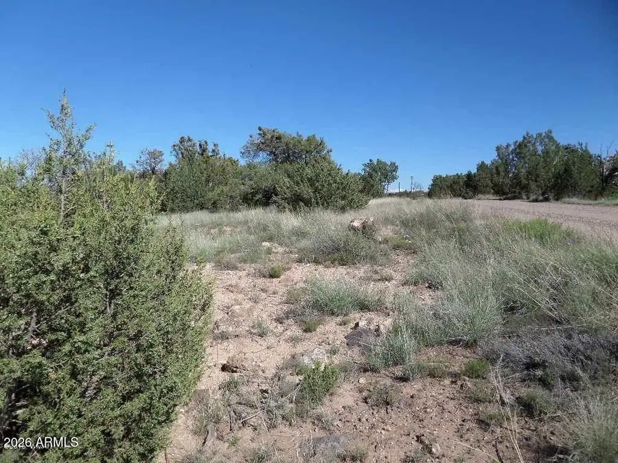8492 Cannon Boulevard #182, Show Low, AZ 85901 - #3
