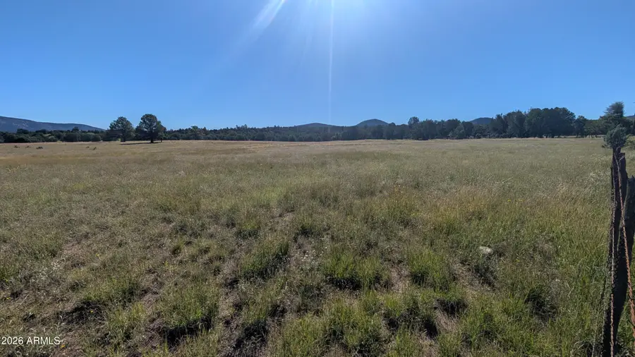 46373 N State Road 288 Highway #2, Young, AZ 85554 - #3