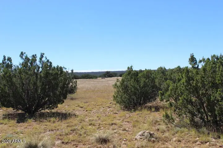 Sec 11 T14n, R16e, Nw4 Se4 Ne4 -- #201-41-024C, Heber, AZ 85928 - #3