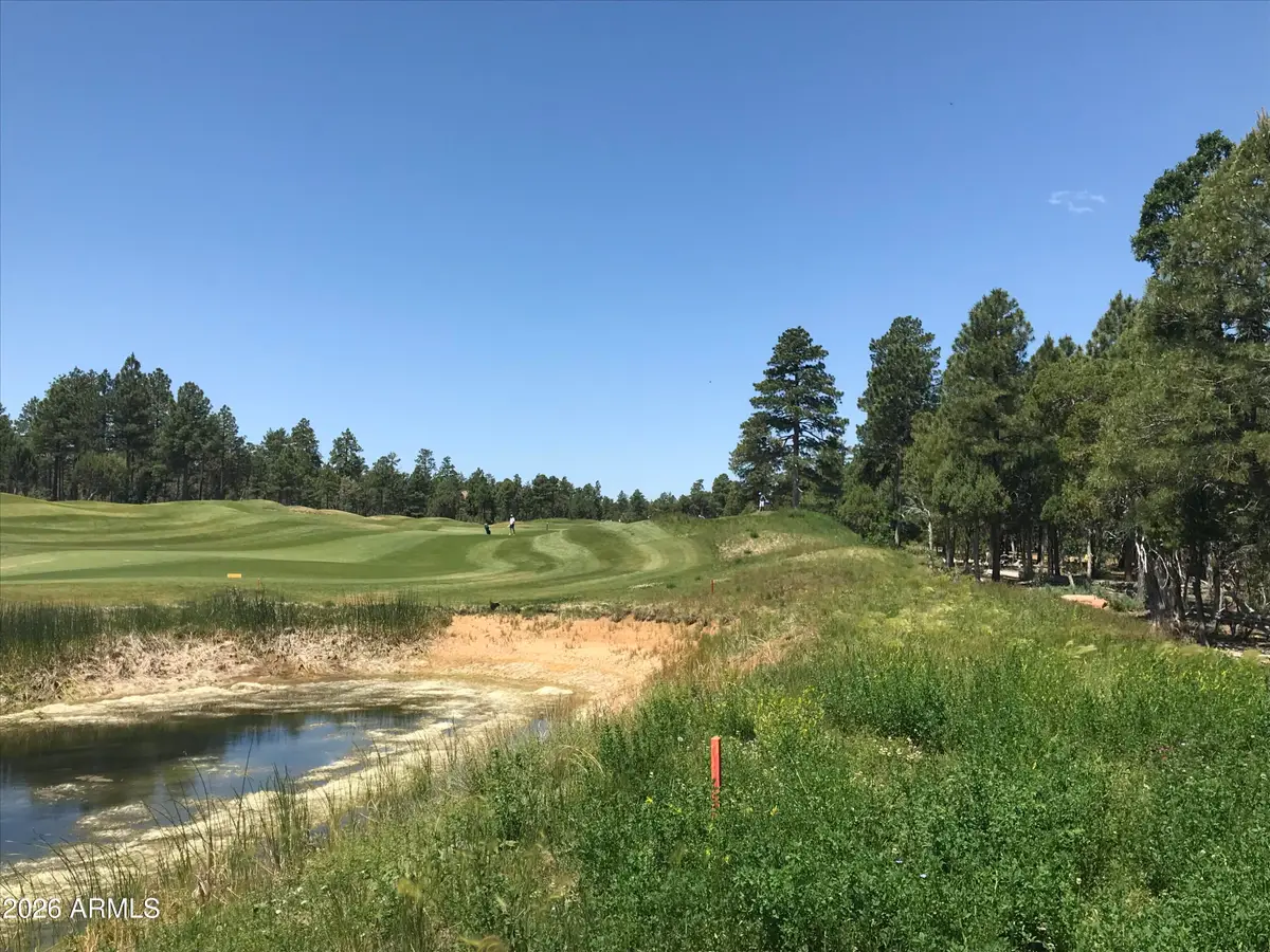 4241 W Falling Leaf Road #319, Show Low, AZ 85901 - #1