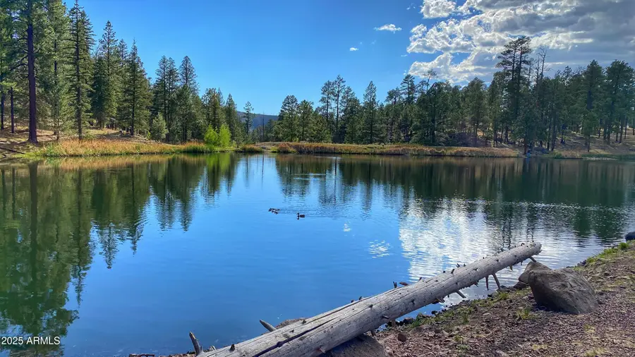 4760 W Bison Lane, Show Low, AZ 85901 - #2