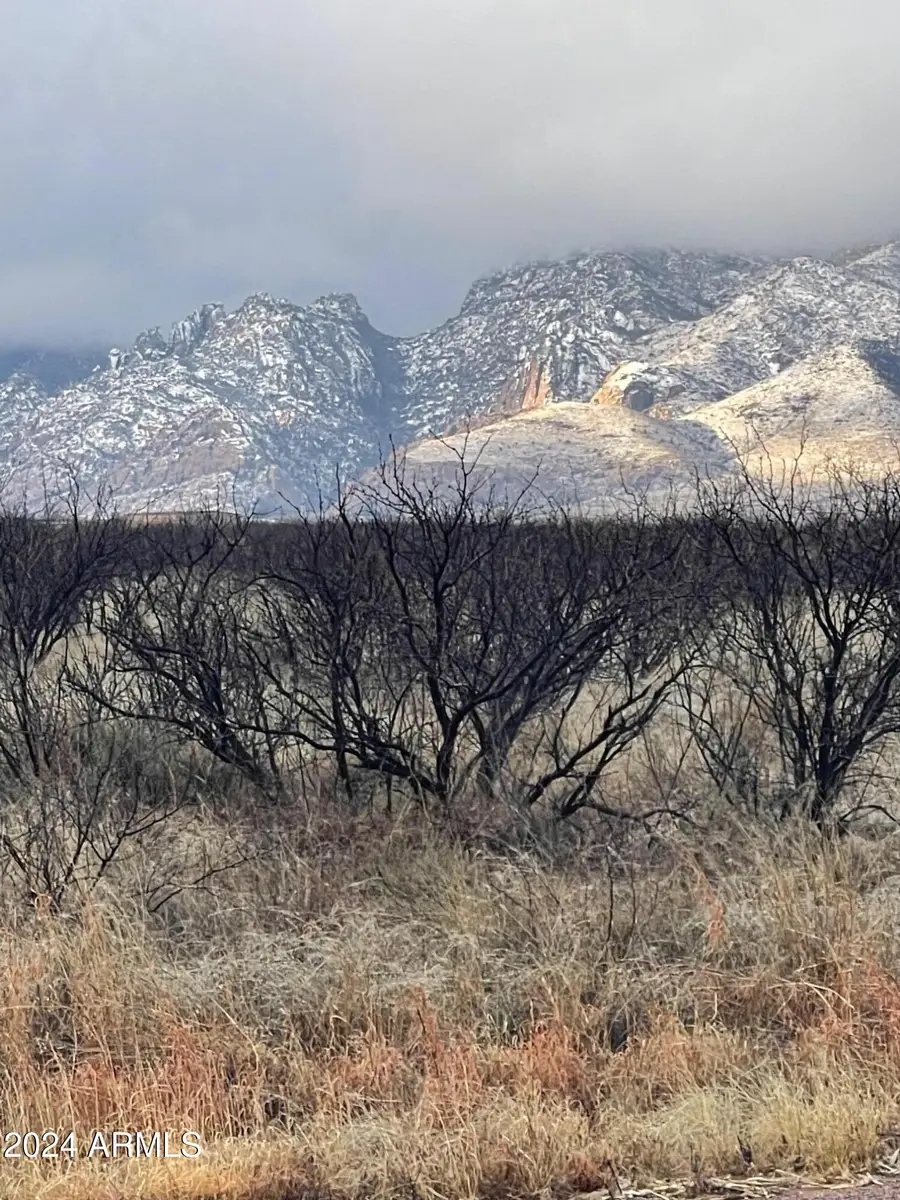 TBD107-L4 E Doe Ranch Road #53, Pearce, AZ 85625 - #3