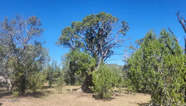 LOT1063 Mystic Way #1063, Williams, AZ 86046