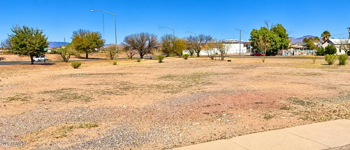 xxx Pan American Avenue, Douglas, AZ 85607 - #1