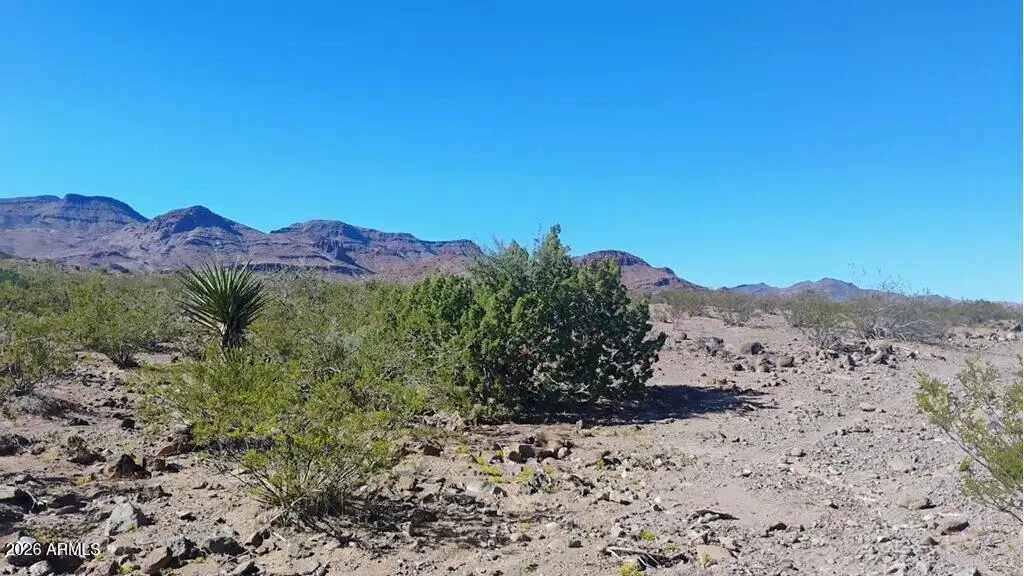 000 N Blaisdell Road #7, Golden Valley, AZ 86413 - #1