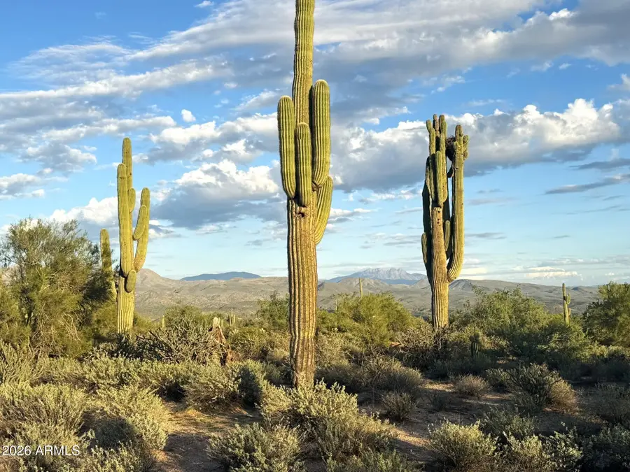 31XXX N 172nd Street, Rio Verde, AZ 85263 - #2