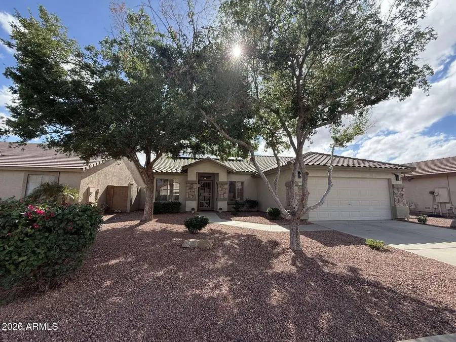 16037 W Carmen Drive, Surprise, AZ 85374 - #2