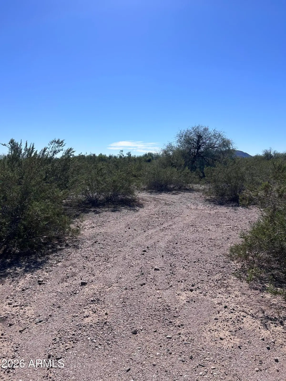 38939 W Flower Street #1207, Tonopah, AZ 85354 - #1