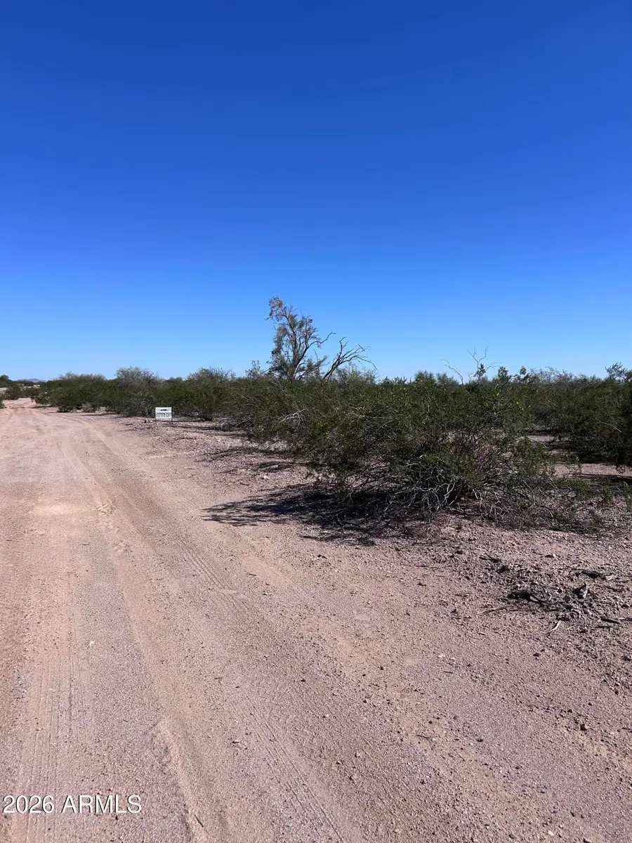 38939 W Flower Street #1207, Tonopah, AZ 85354 - #2