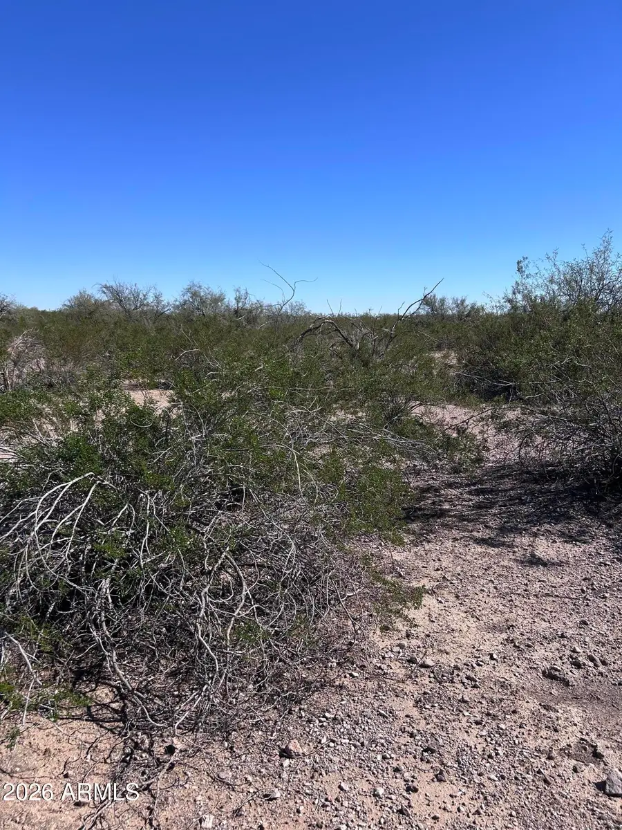38939 W Flower Street #1207, Tonopah, AZ 85354 - #3
