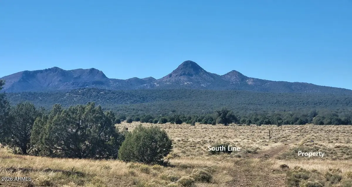 232 Six Shooter Trail #232, Williams, AZ 86046 - #1