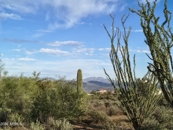 31XXX N 166th Place, Scottsdale, AZ 85262