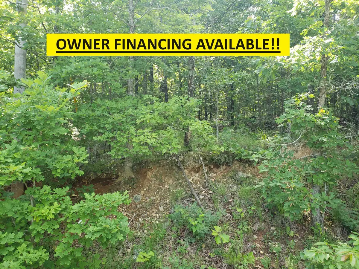 Chautauqua Drive, Cherokee Village, AR 72529 - #1