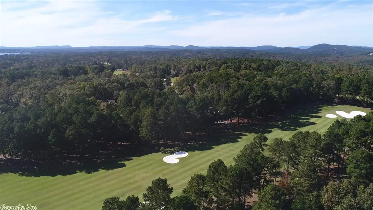 25 Alhaja Way, Hot Springs Village, AR 71909 - #1