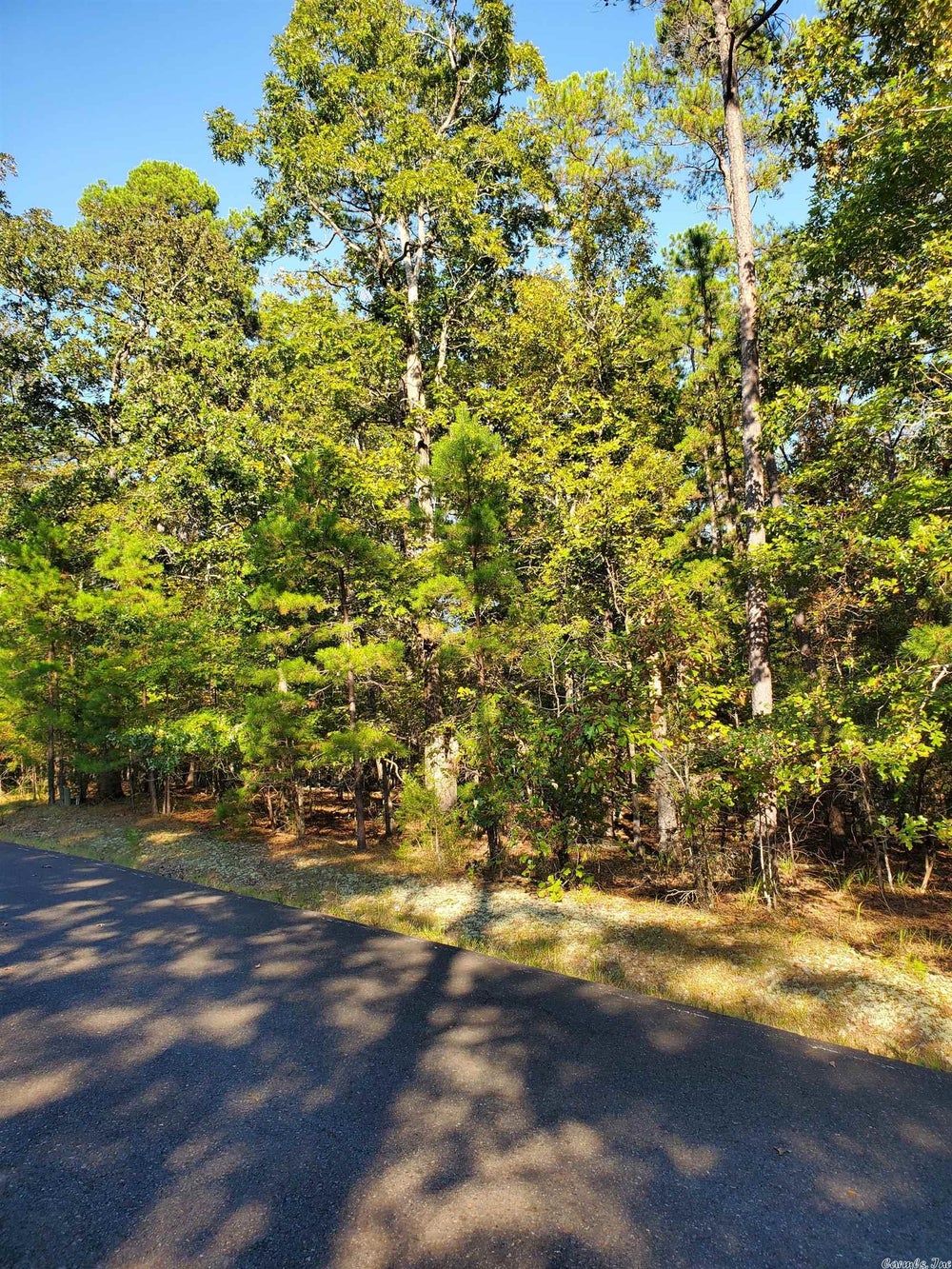 Address Withheld By Seller, Hot Springs Village, AR 71909 ERA