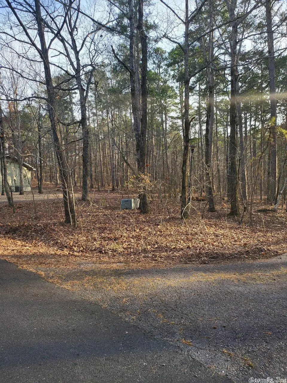 Lot 010 Palencia, Hot Springs Village, AR 71909 - #1