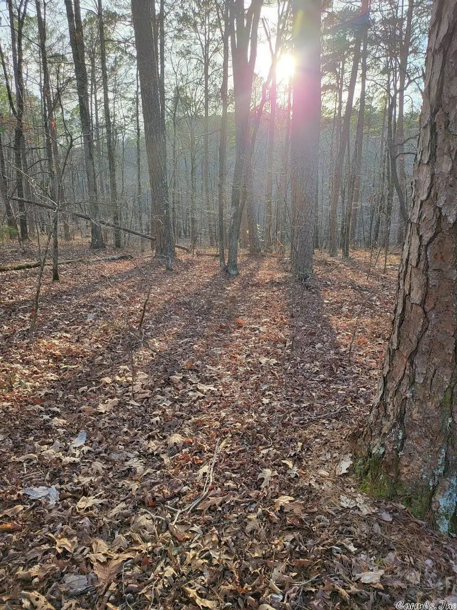 Lot 010 Palencia, Hot Springs Village, AR 71909 - #2