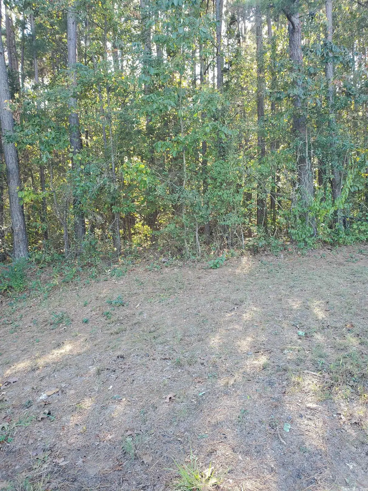 00 Country Wood Rd., Quitman, AR 72131 - Image #1