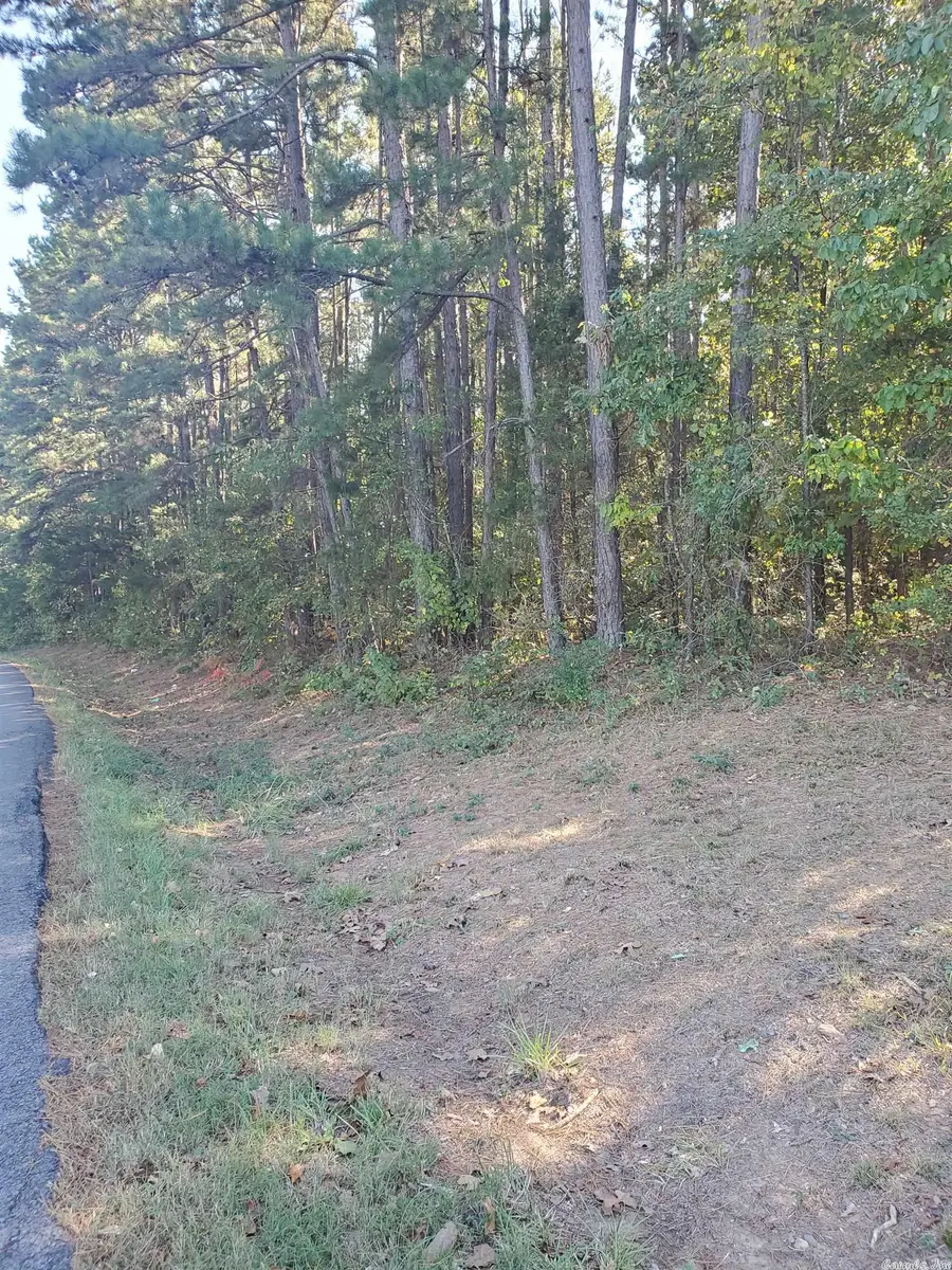 00 Country Wood Rd., Quitman, AR 72131 - Image #2