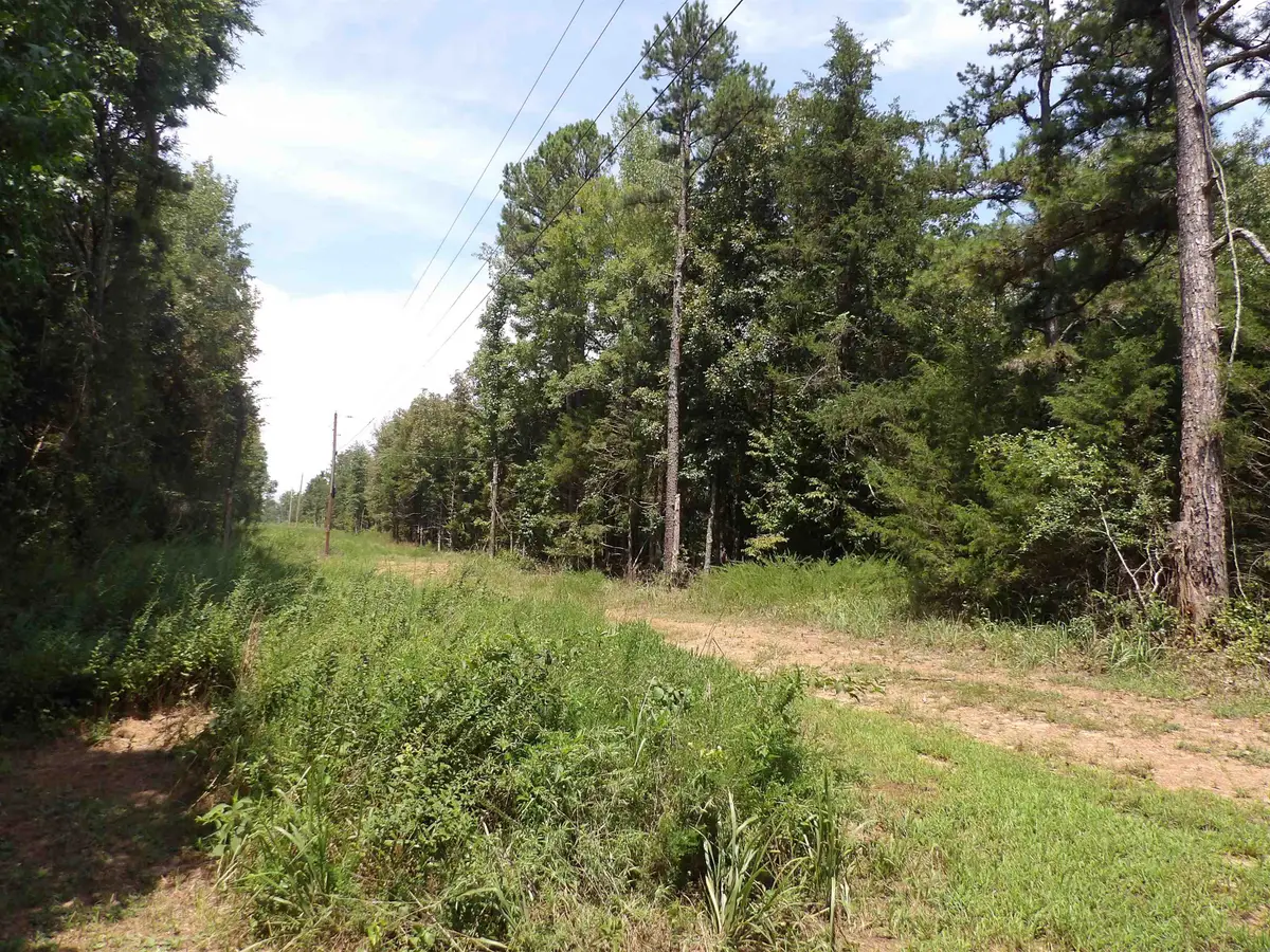 1608 County Road 3594, Lamar, AR 72846 - #1
