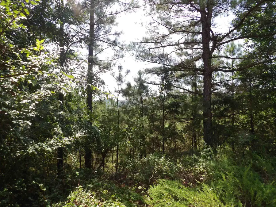 1608 County Road 3594, Lamar, AR 72846 - #3