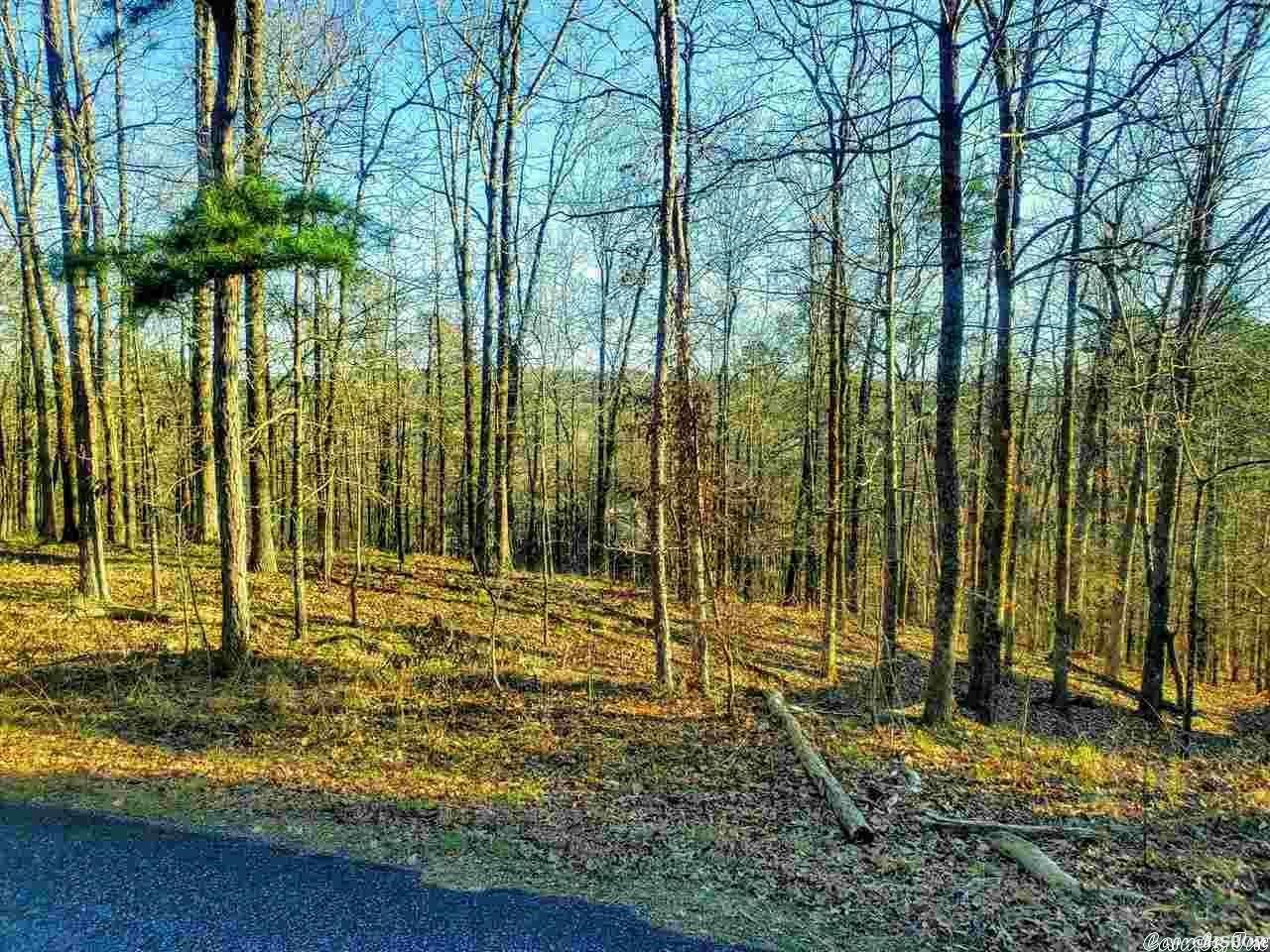 lots 1591 1592 Diamondhead Drive, Hot Springs, AR 71913 ERA