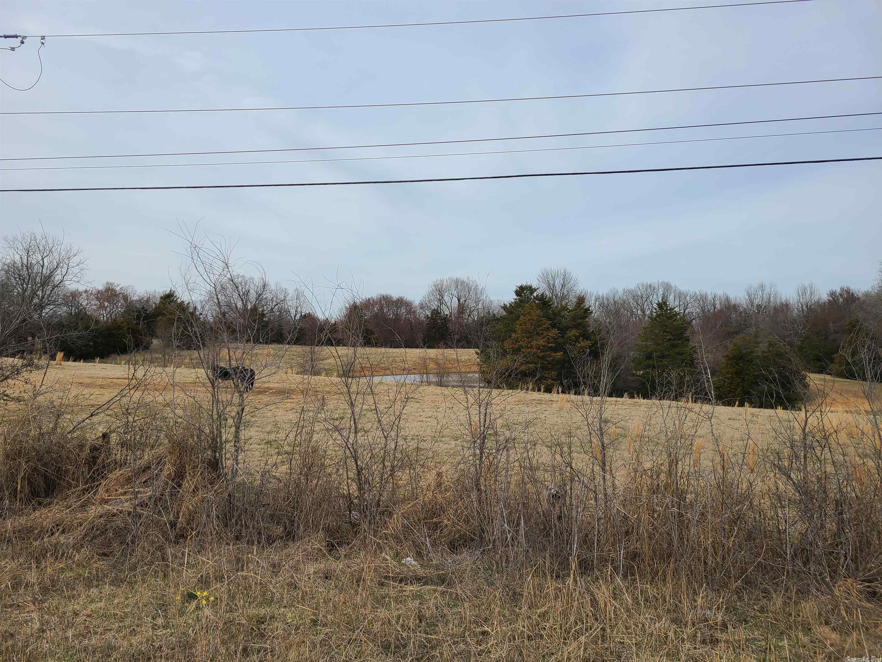 Address Withheld By Seller, Black Rock, AR 72415 ERA