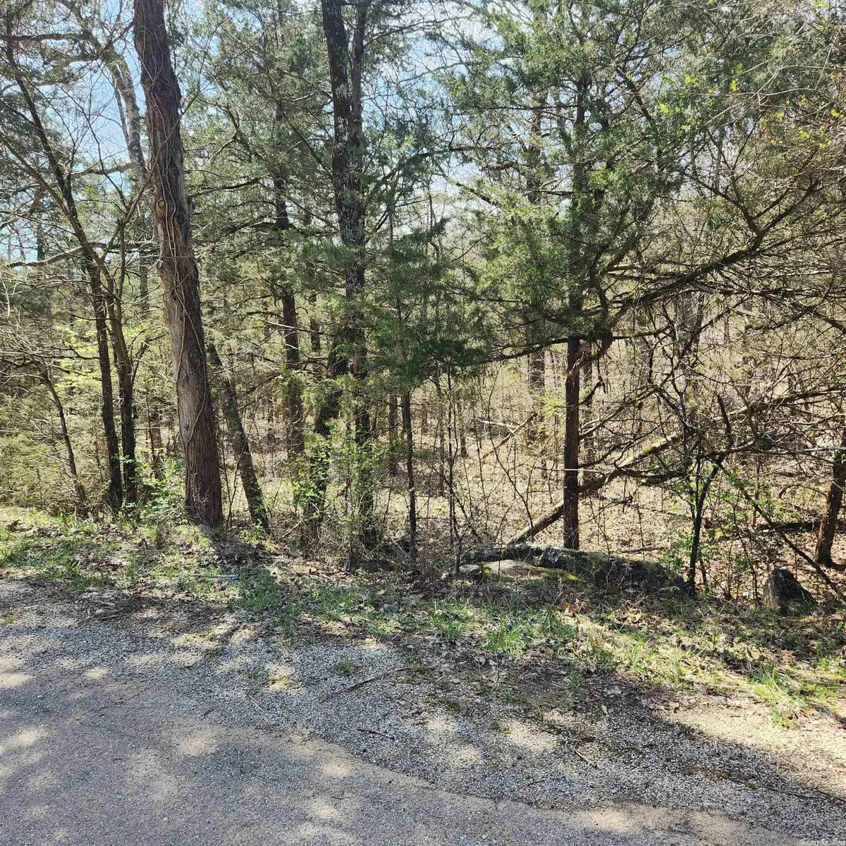 L 19 B 9 Ouachita Road, Cherokee Village, AR 72529 - Image #1