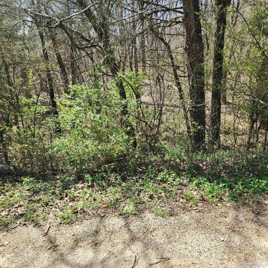 L 19 B 9 Ouachita Road, Cherokee Village, AR 72529 - Image #2