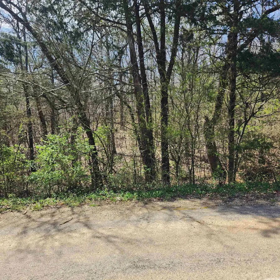 L 19 B 9 Ouachita Road, Cherokee Village, AR 72529 - Image #3