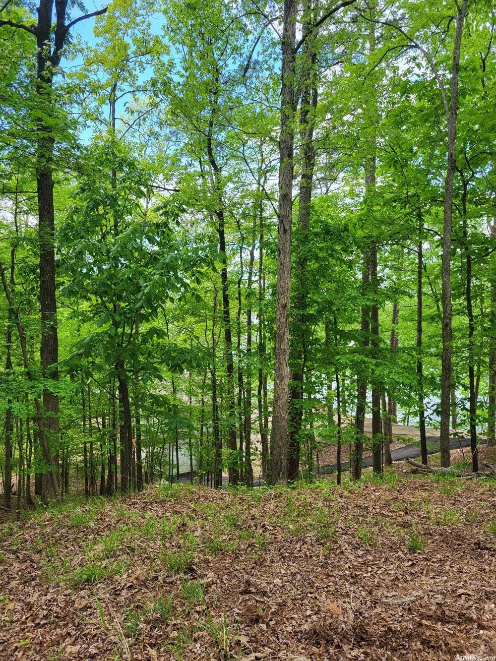 Address Withheld By Seller, Hot Springs, AR 71913 ERA