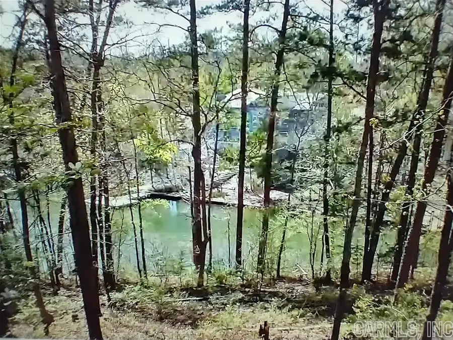 23 Saldana Way, Hot Springs Village, AR 71909 - Image #2