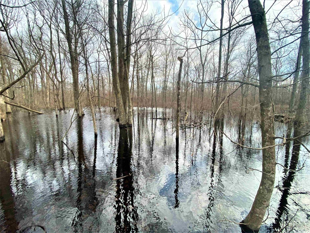 Address Withheld By Seller, Hickory Ridge, AR 72347 ERA