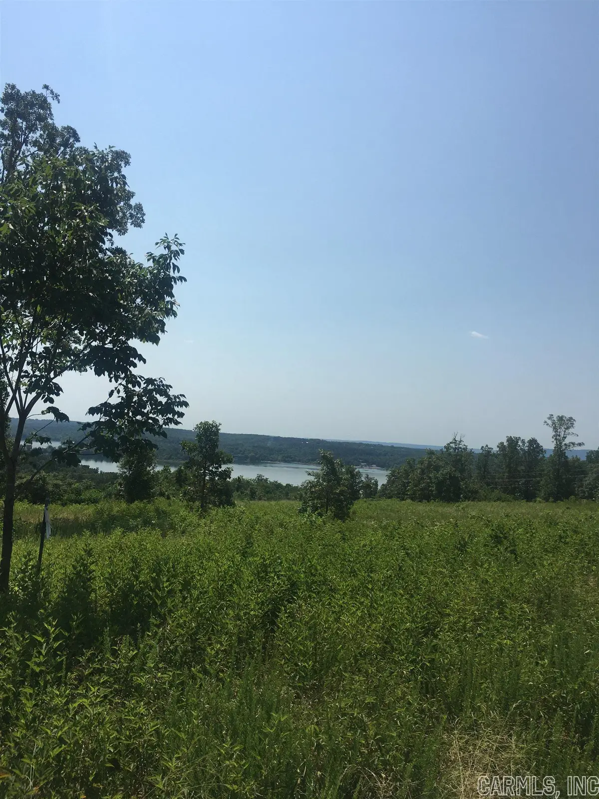 LOT 6 Donham Drive, Edgemont, AR 72044 - #1