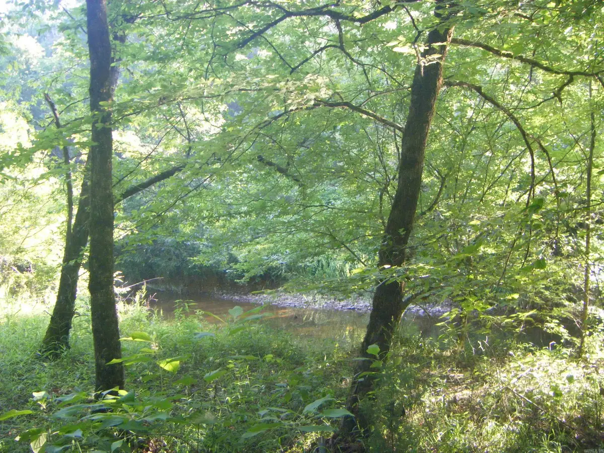 TBD Mosley Road, Arkadelphia, AR 71923 - #1