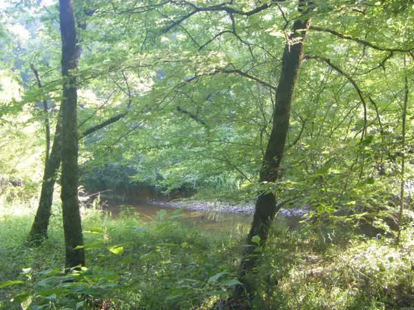 TBD Mosley Road, Arkadelphia, AR 71923