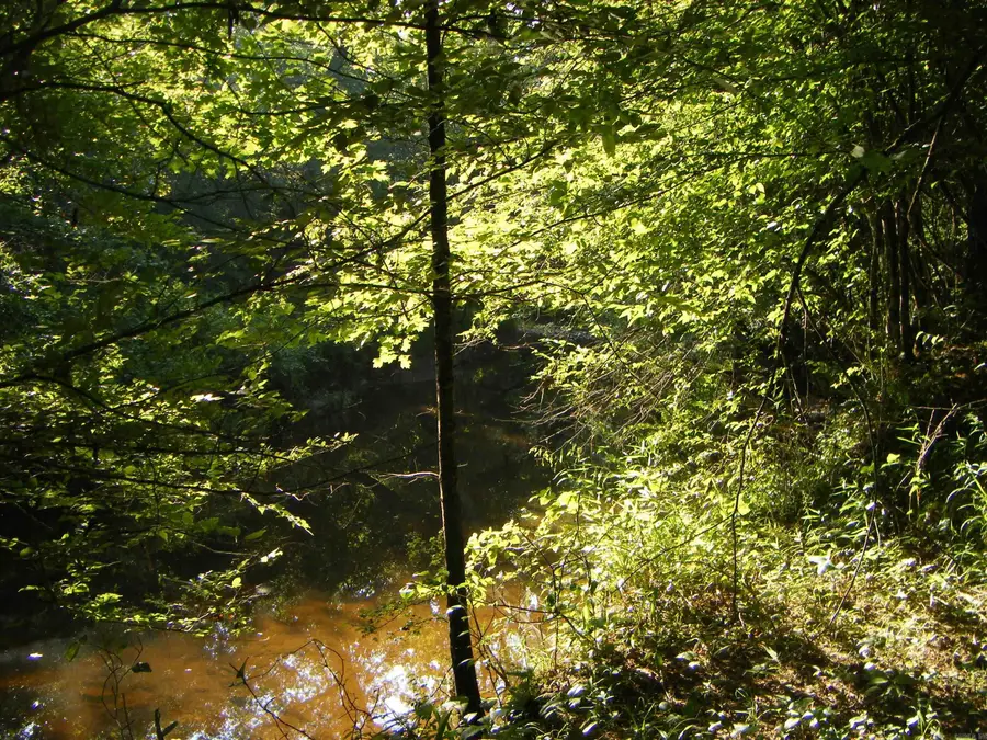 TBD Mosley Road, Arkadelphia, AR 71923 - #2