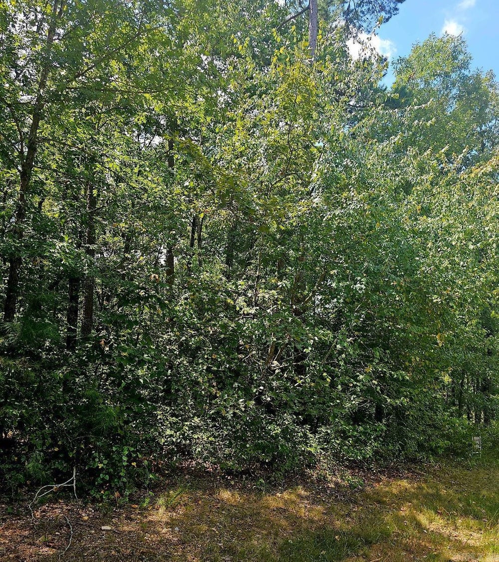 Lot 4 Quail Run, Malvern, AR 72104 ERA