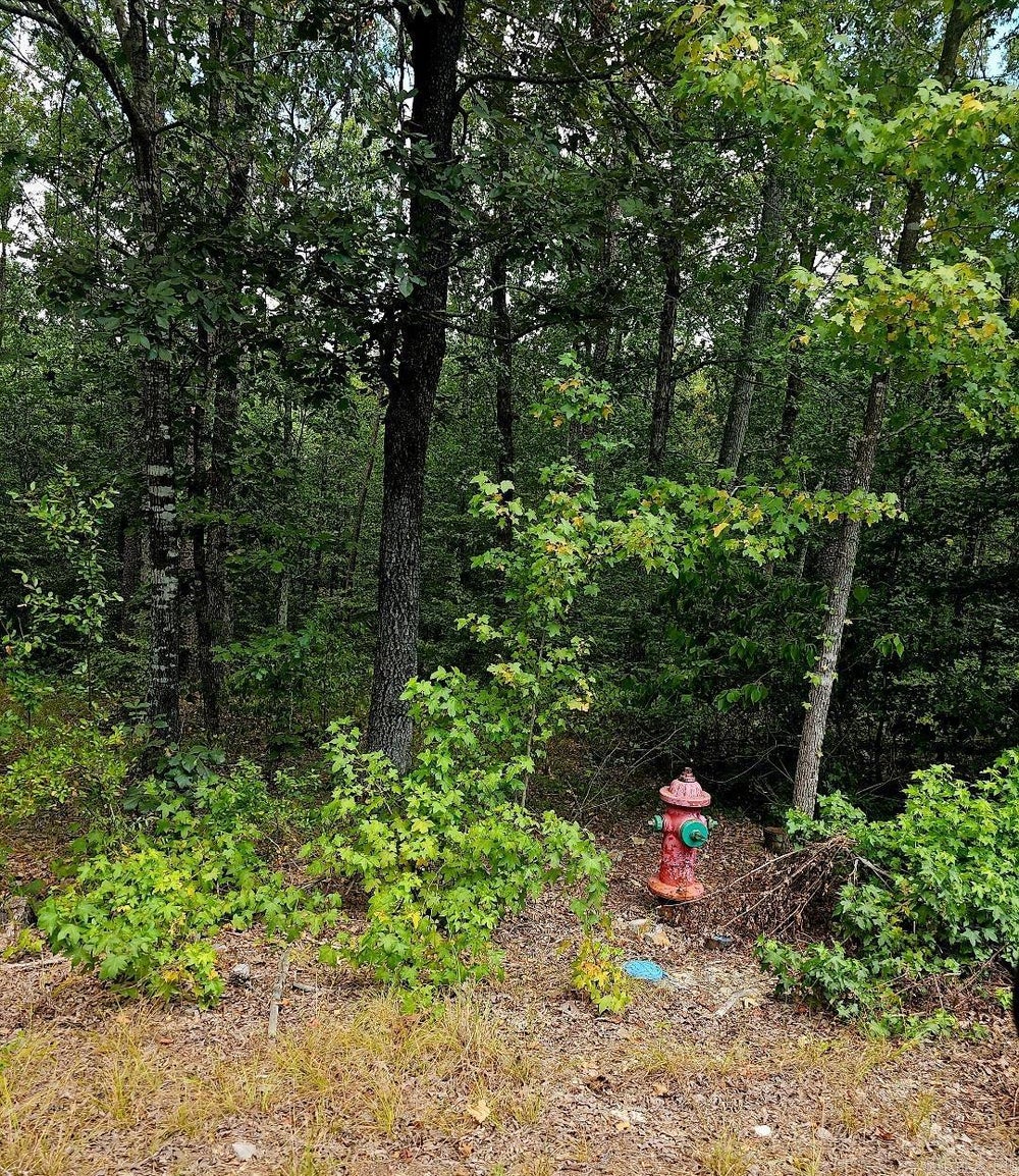 Lot 9 Quail Run, Malvern, AR 72104 ERA