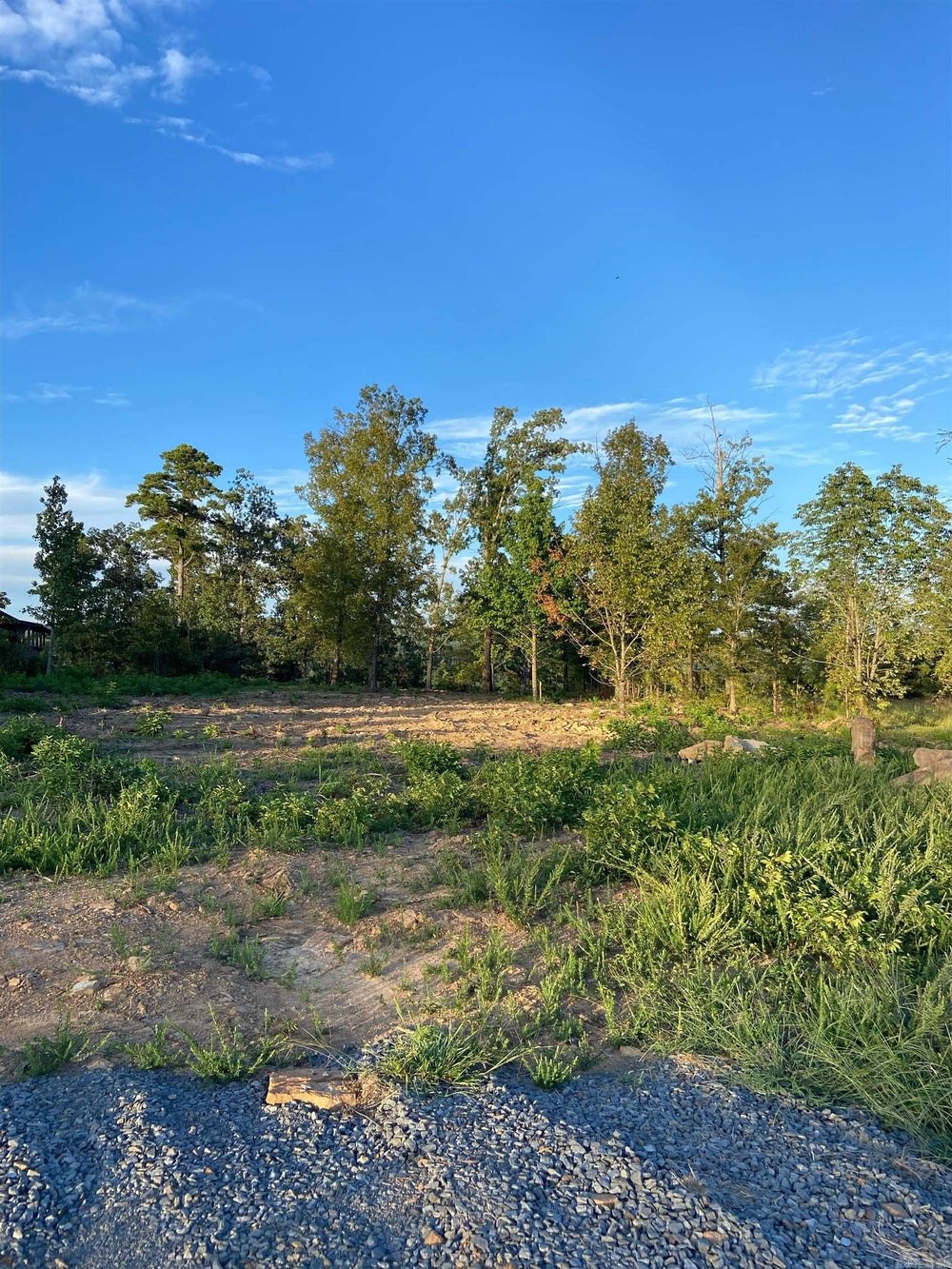 Lot 12 The Bluffs Drive, Greers Ferry, AR 72067 ERA