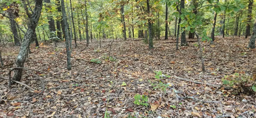 #2