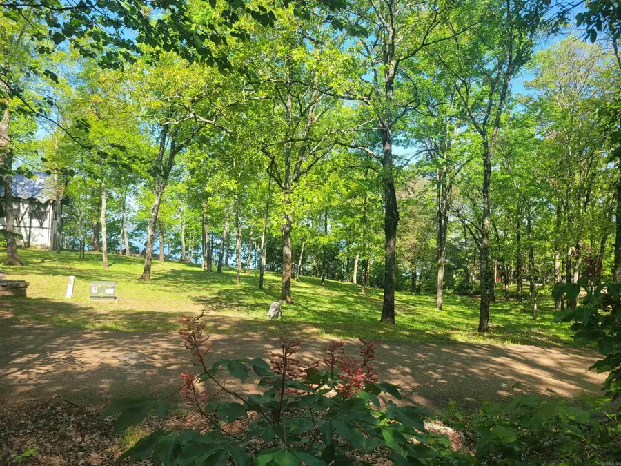 Lot 182 Tannenbaum Road, Drasco, AR 72530 - Image #2