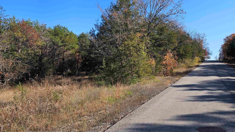 Address Withheld By Seller, Diamond City, AR 72630 ERA