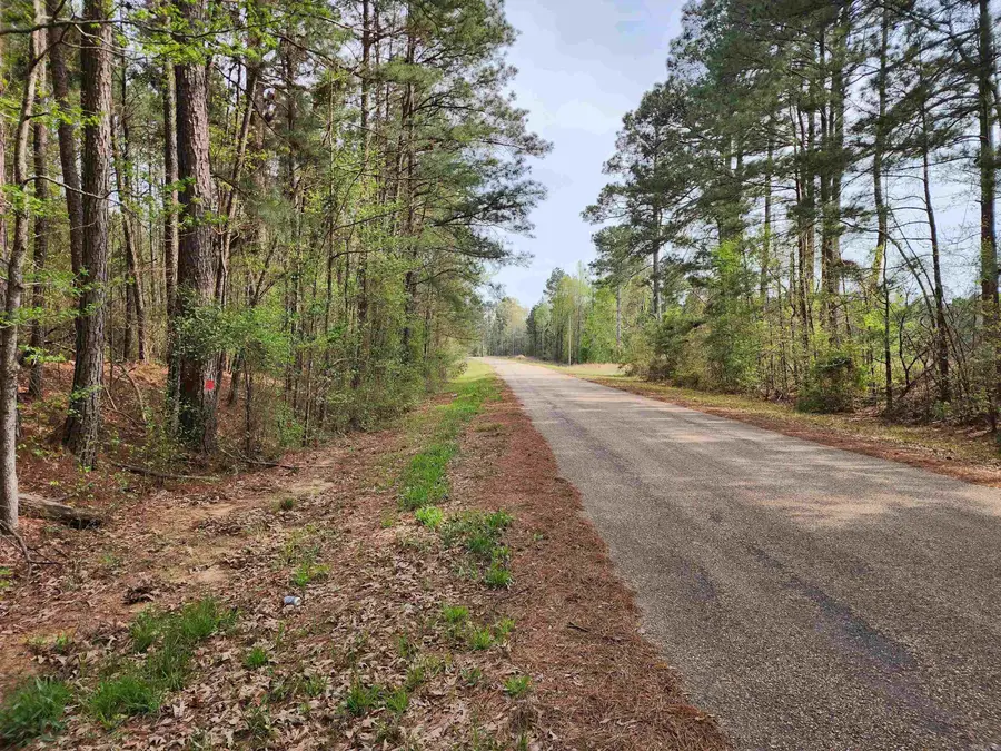 15.56 Acres Ouachita 63, Louann, AR 71751 - #3